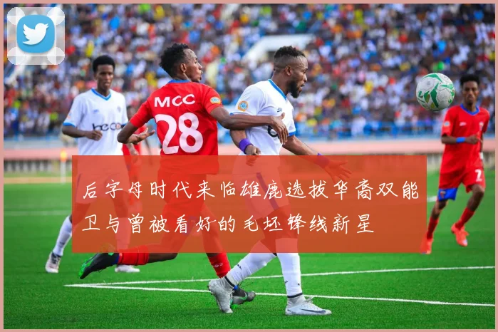 后字母时代来临雄鹿选拔华裔双能卫与曾被看好的毛坯锋线新星