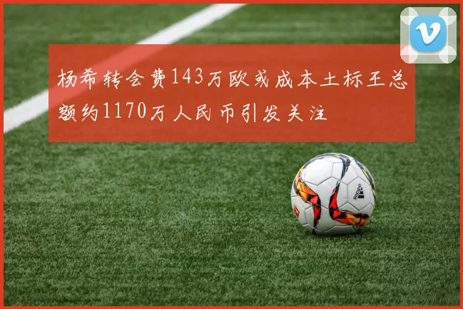 杨希转会费143万欧或成本土标王总额约1170万人民币引发关注
